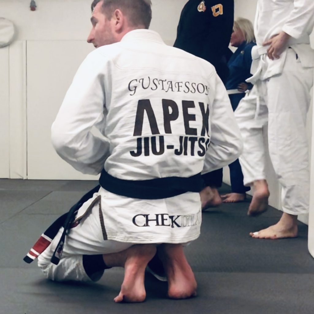 BJJ Logo